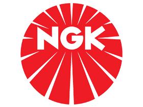 NGK 90502
