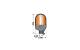 RINDER 4500 - MICROROT C/LAMP.DE 24V.